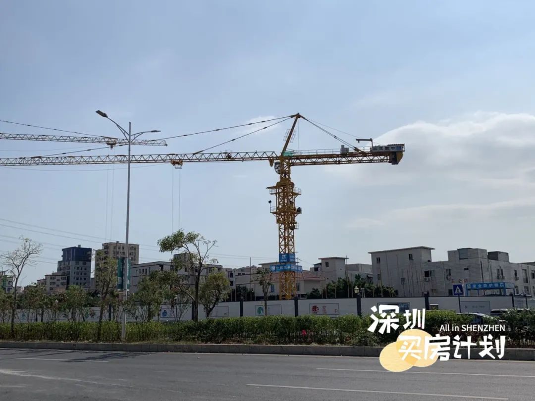 撸完宝安18个新盘!打地鼠式打新来了,你准备pick谁?