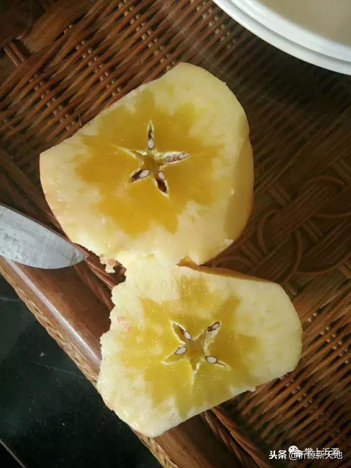 雪中的洛川红富士苹果,雪中的红苹果