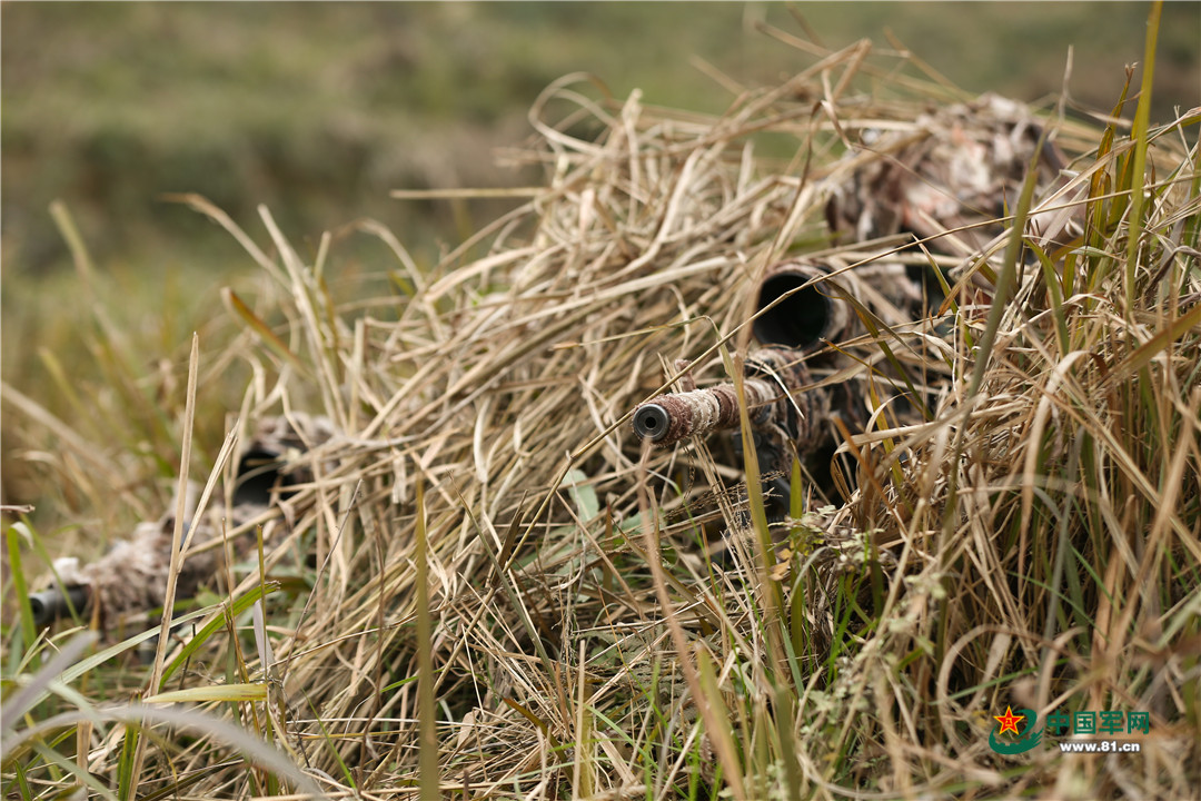 老狙告诉你:如何从“冲山头儿的”成为一名“特等*击狙**手”