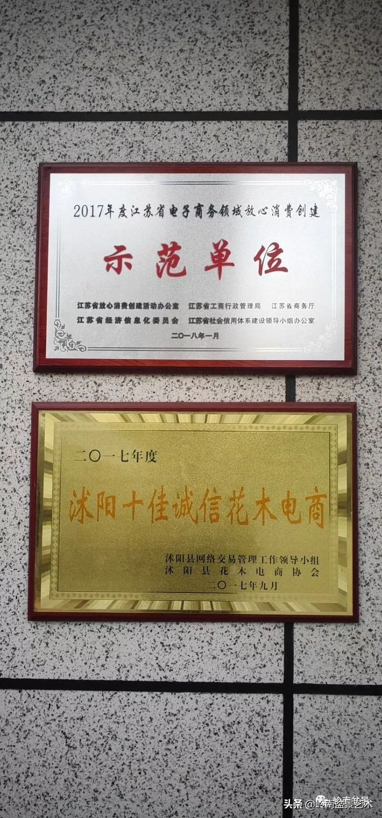 盆景产业的前景,我的盆景创业之路