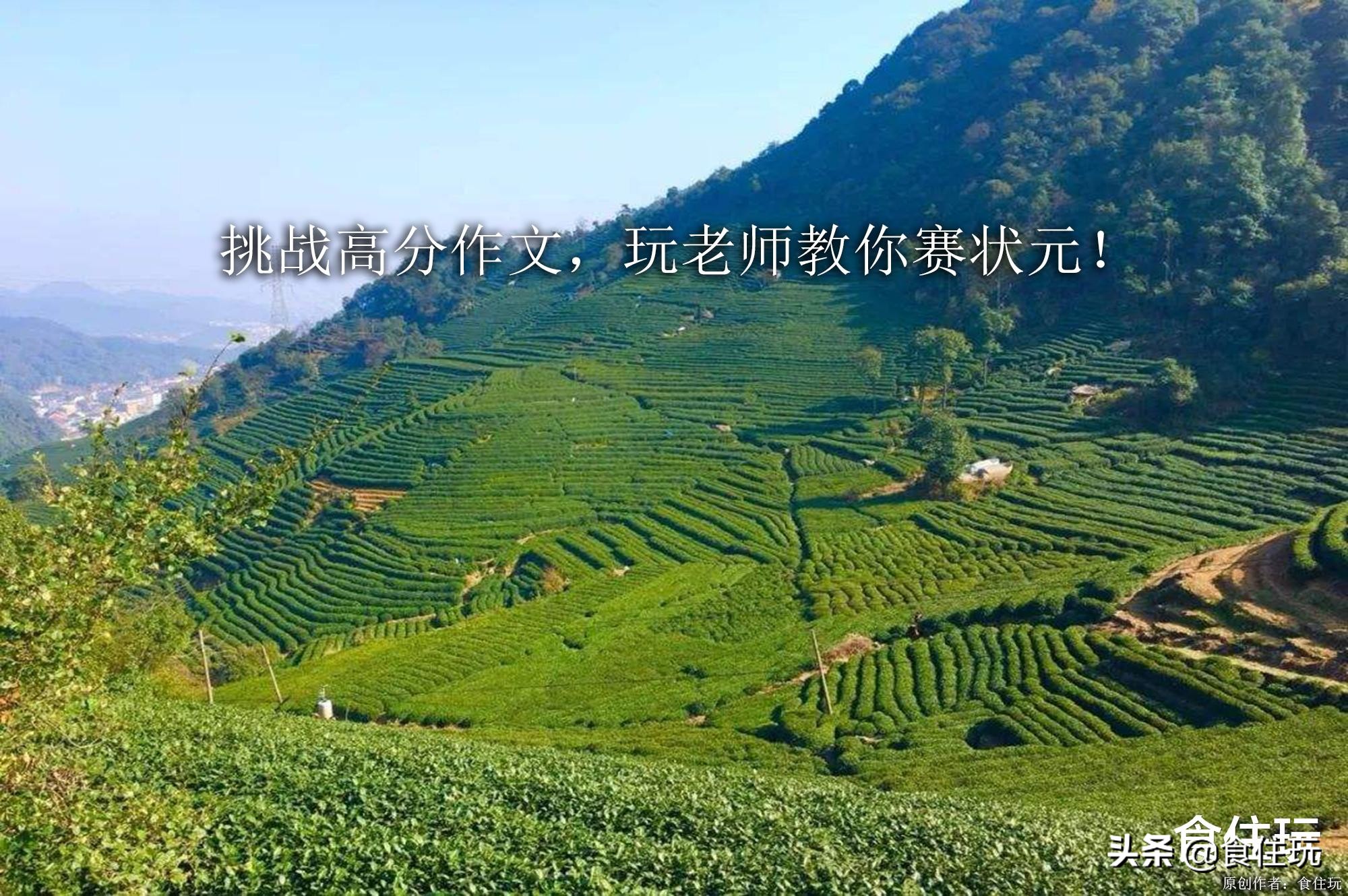 一次难忘的活动的作文,挑战考场高分作文