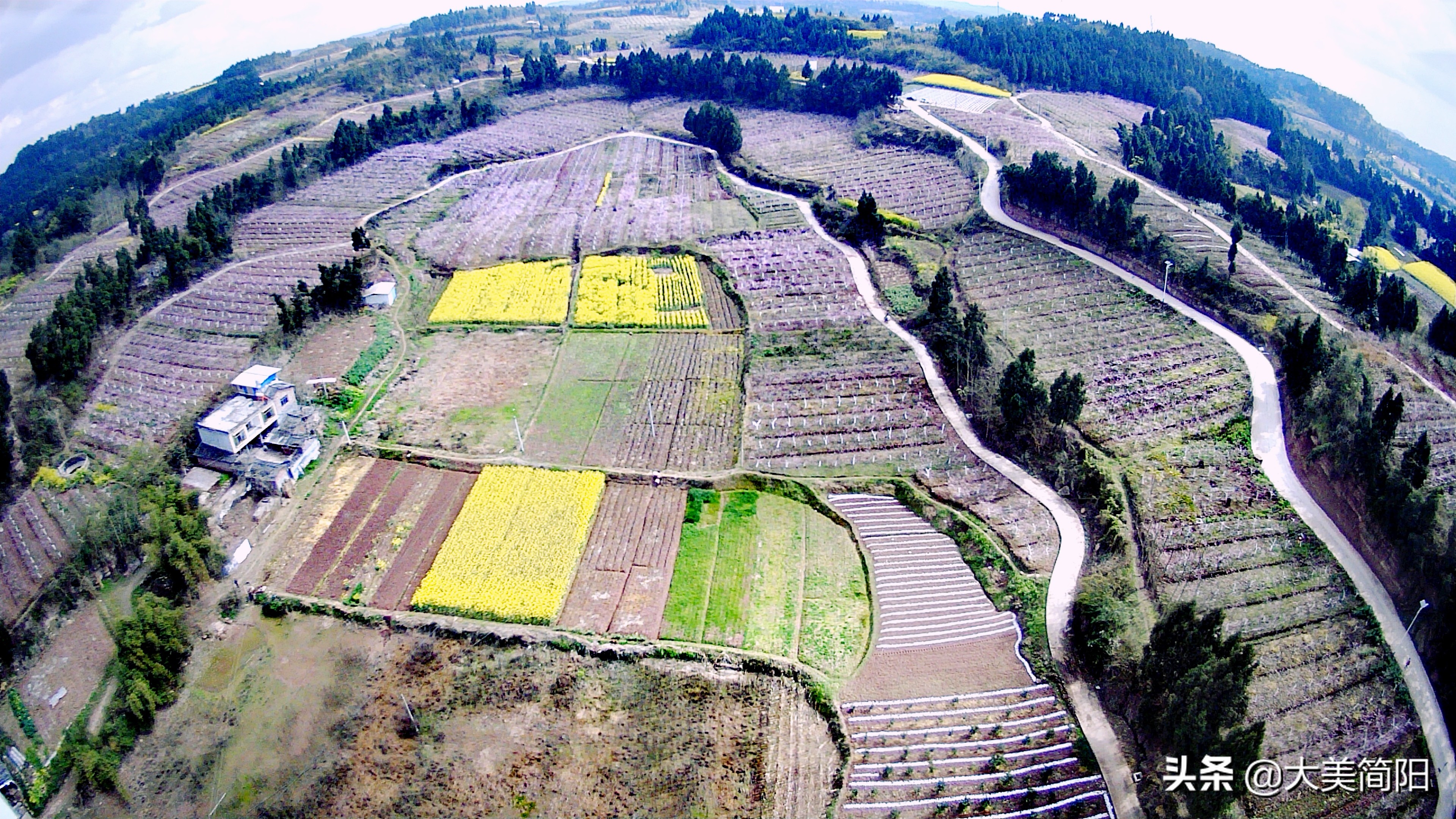 简阳全家福照片,简阳全家福写真