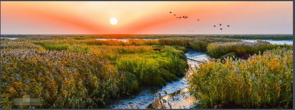 东北大连这个城市有发展前途吗,东北第一大城市是大连吗