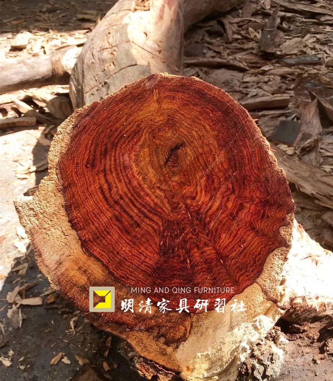 马未都收藏的黄花梨,那些年马未都说过的紫檀