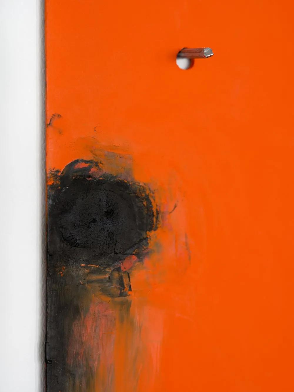 安·埃德霍姆:保持在抽象和叙事之间的矛盾状态