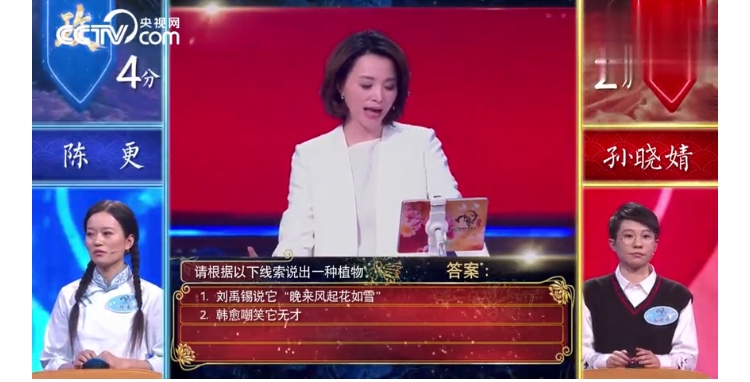 中国诗词大会第四季董卿点评,中国诗词大会董卿第三季第四场