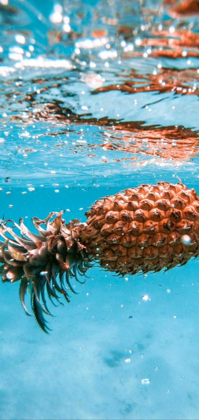 壁纸超清风景动物老虎,壁纸萌宠老虎