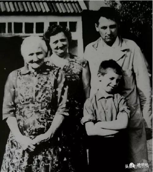 克拉克经典名鸽,克拉克顶级种鸽特点