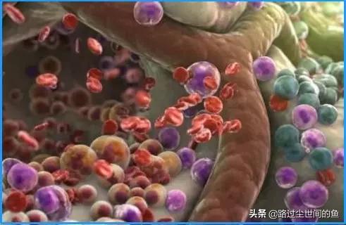 人体干细胞最新成果,最厉害的干细胞排行榜