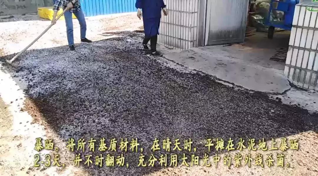 abt育苗技术,abt种植体系