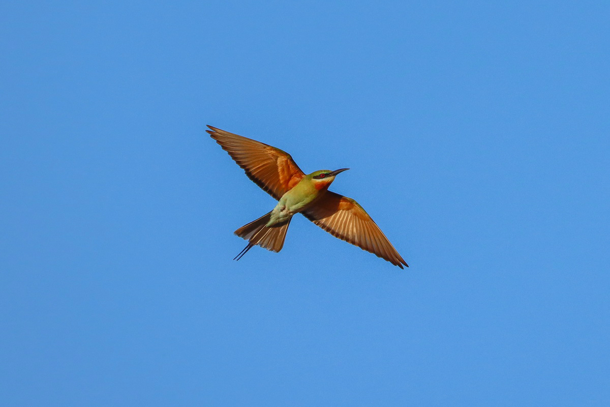 佳能eos90d适合拍产品么,佳能eos90d拍摄效果