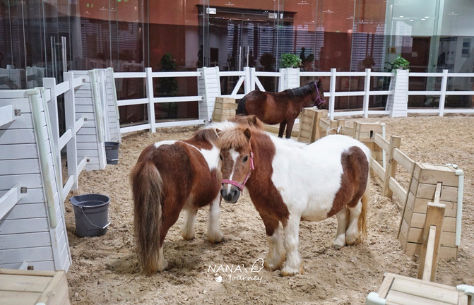 苏州旅游休闲度假推荐,苏州旅游休闲度假攻略
