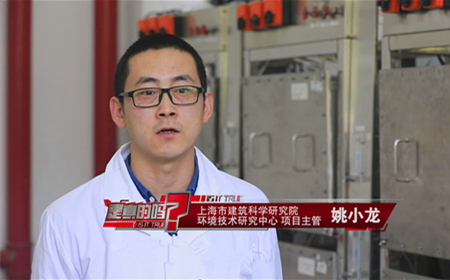 卧室怎么去除甲醛放什么植物,去除甲醛的植物花卉有哪些