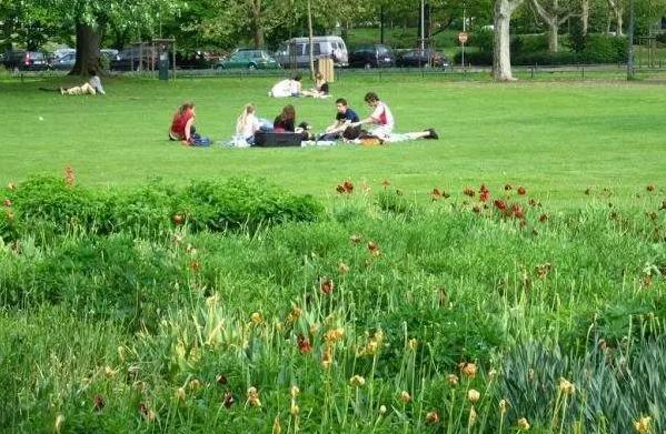 国外的月亮真的比国内好吗,外国的月亮比国内的大