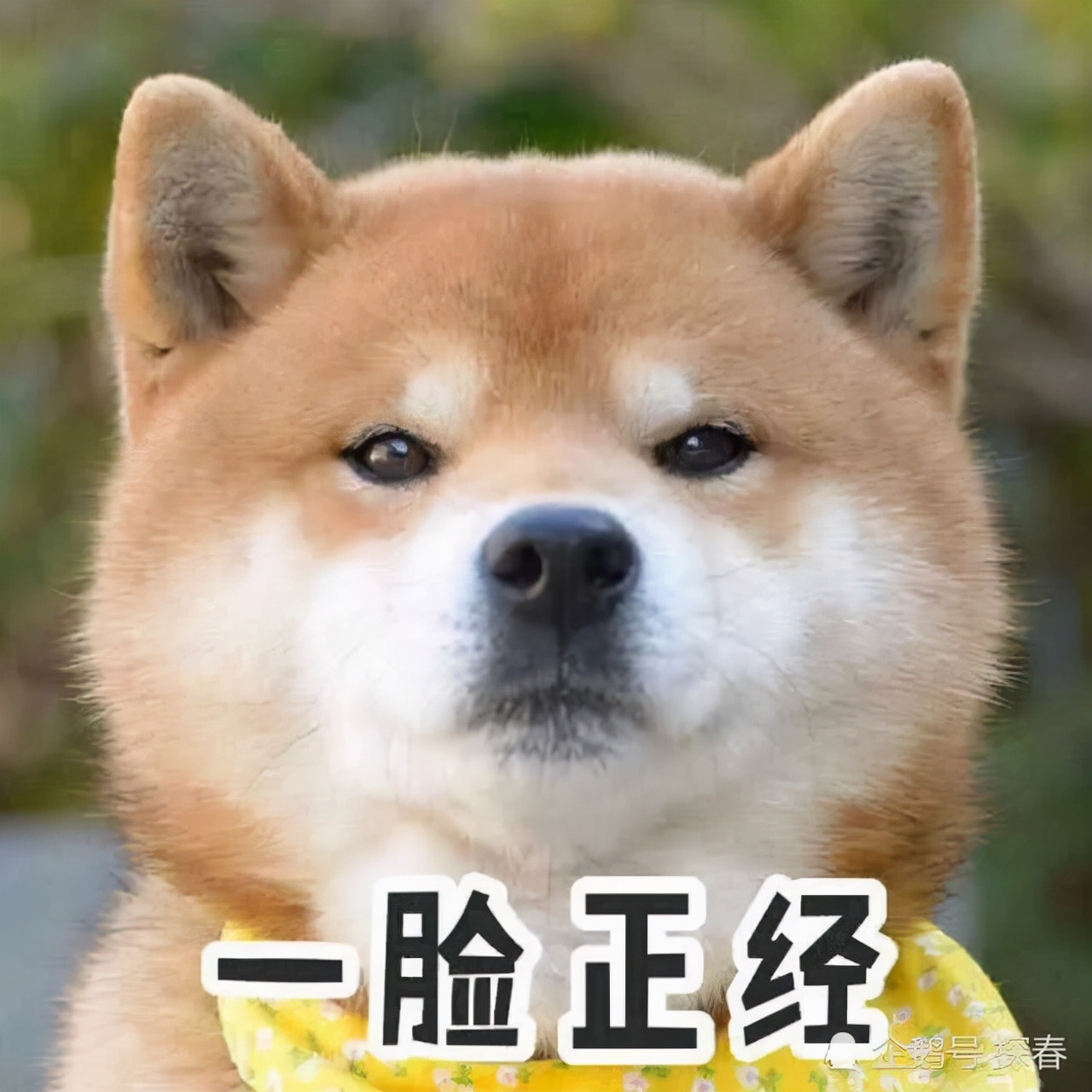 周末乏力嗜睡,周末转瞬即逝