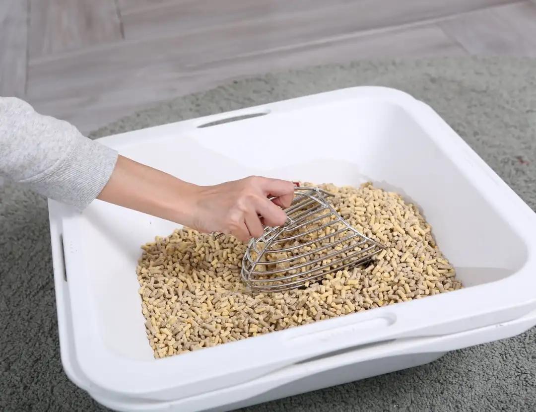 未来5年宠物智能产品,宠物产品logo设计