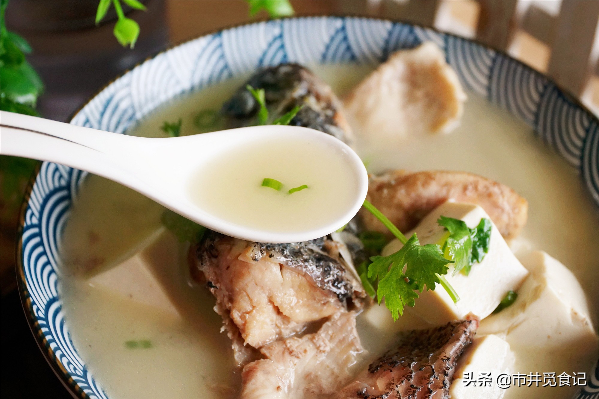 煮鱼汤时什么时候放醋,鱼汤怎样煮才能又浓又白