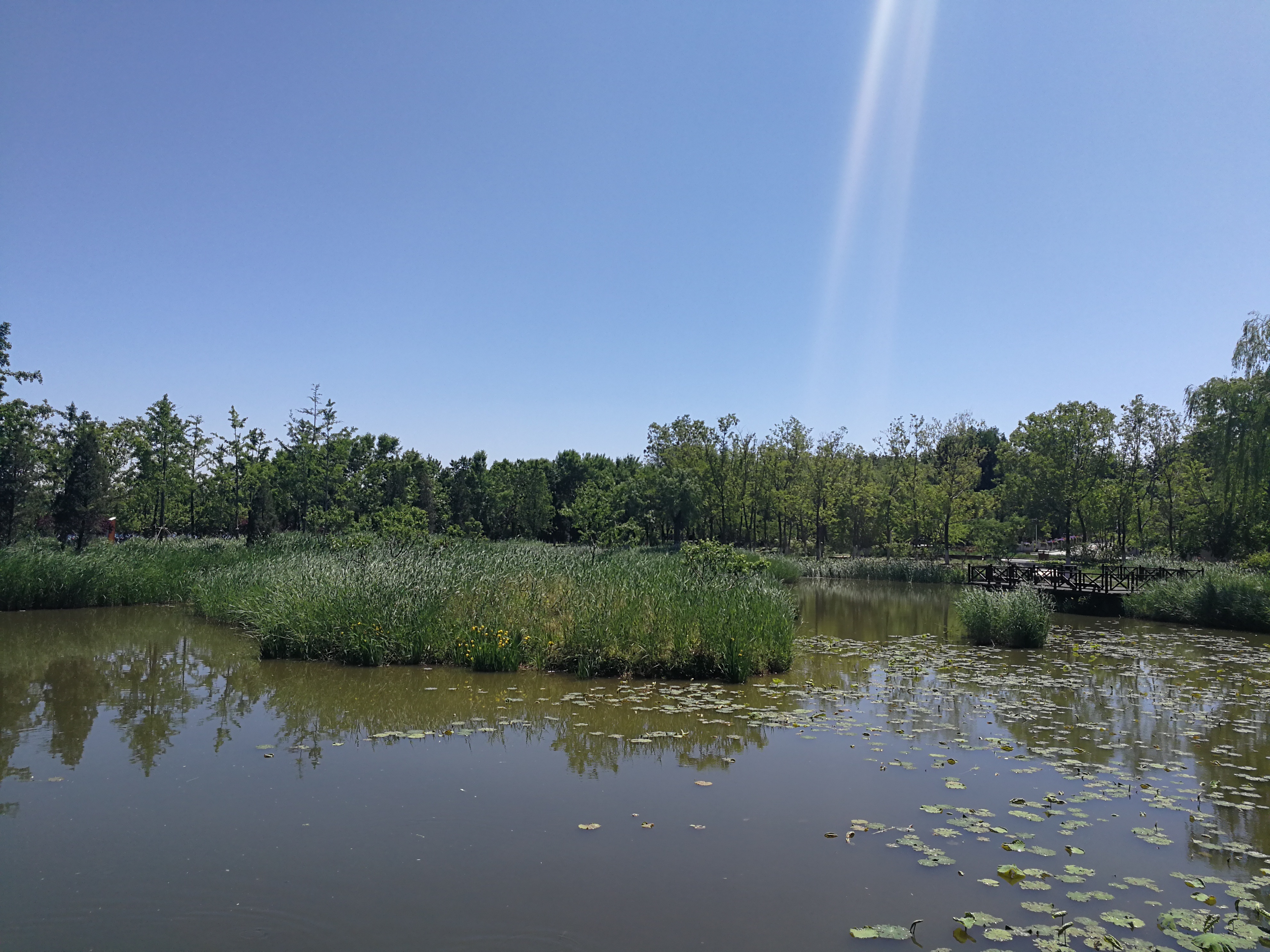 你不知道：七大征信逾期记录可申请消除，看看你符合申诉理由吗？