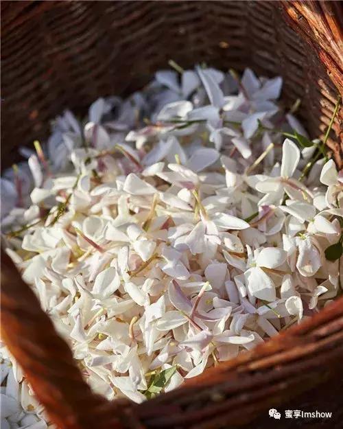 迪奥小姐爱与玫瑰展览吴谨言,迪奥小姐爱与玫瑰晚会