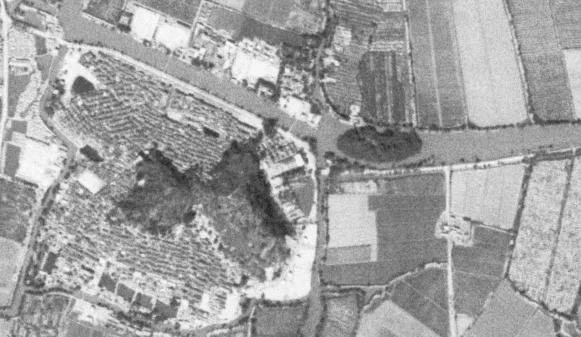 小鸟天堂真实现状,小鸟天堂后续怎样了