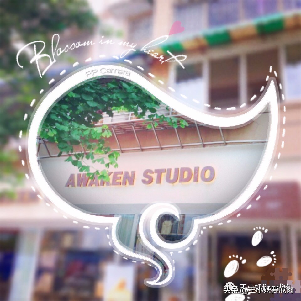 回味成都|面包会有的，27家成都面包探店地图请收藏！（上）