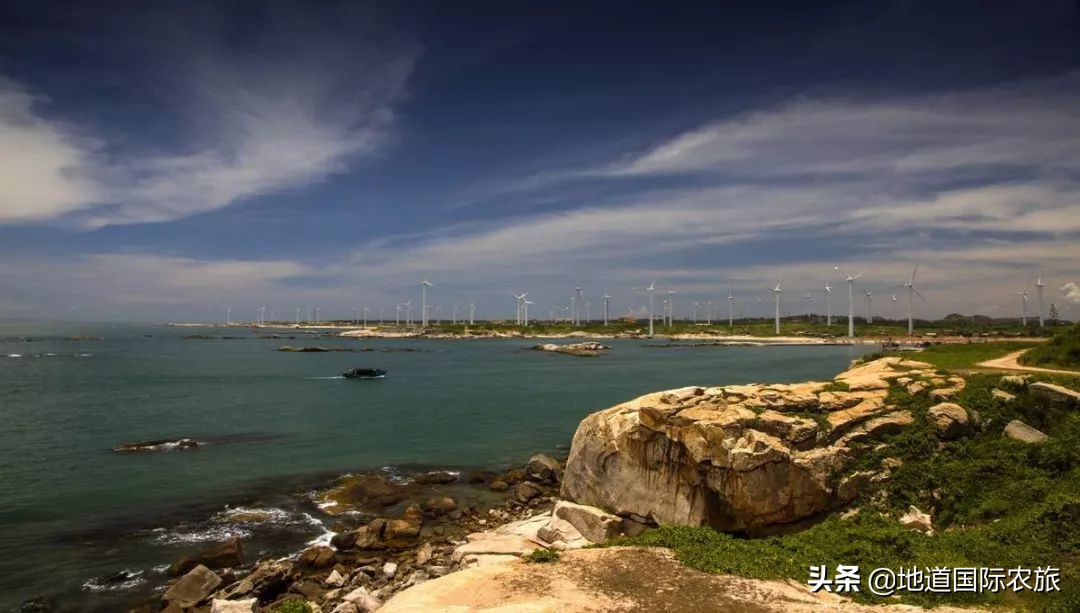 惠来隆江本地人吃哪家猪脚饭,广东省揭阳市惠来县隆江猪脚饭