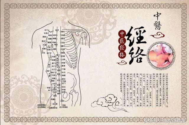 中医古法经络减肥费用,中医推拿经络减肥