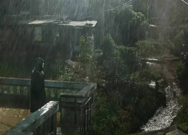 寄生虫10年前,2009年寄生虫电影