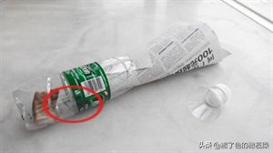 蟑螂成灾教你有效的灭蟑螂,用洋葱灭蟑螂最有效的方法