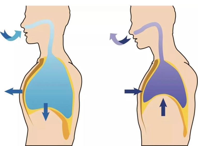 顽固性腰痛怎么治愈,困扰多年的腰疼问题终于搞清楚了