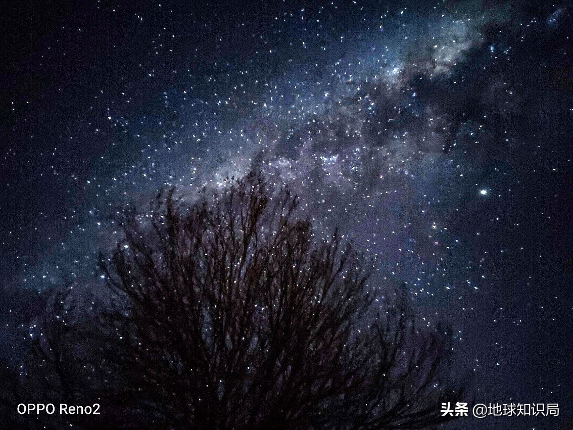 新西兰为什么要吸引人移民,新西兰为什么引进移民