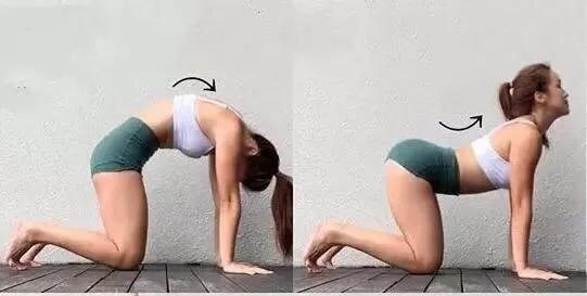 放松下腰背瑜伽体式,放松下腰的动作