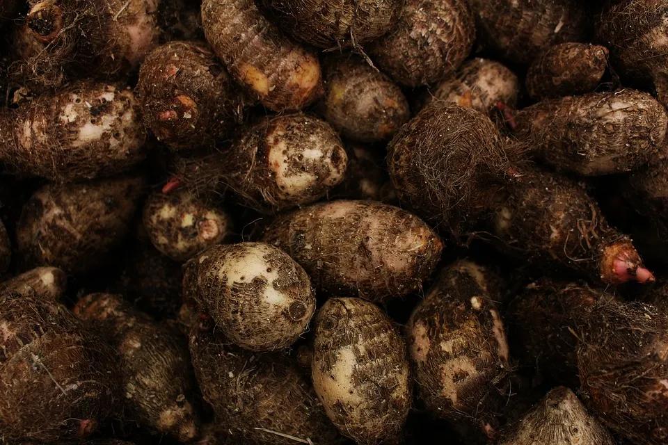 儿童治疗白癜风需要多少钱,uvb治疗白癜风多久见效