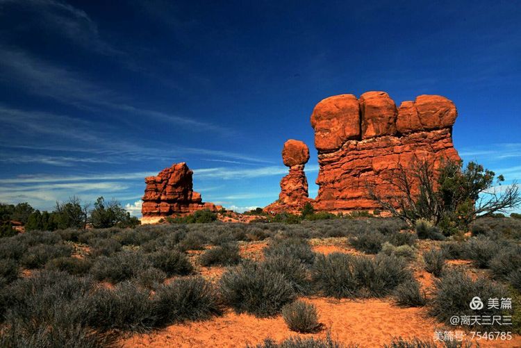 鍖楃編鏋儏闃虫柊,鍖楃編鏋儏鍥剧墖