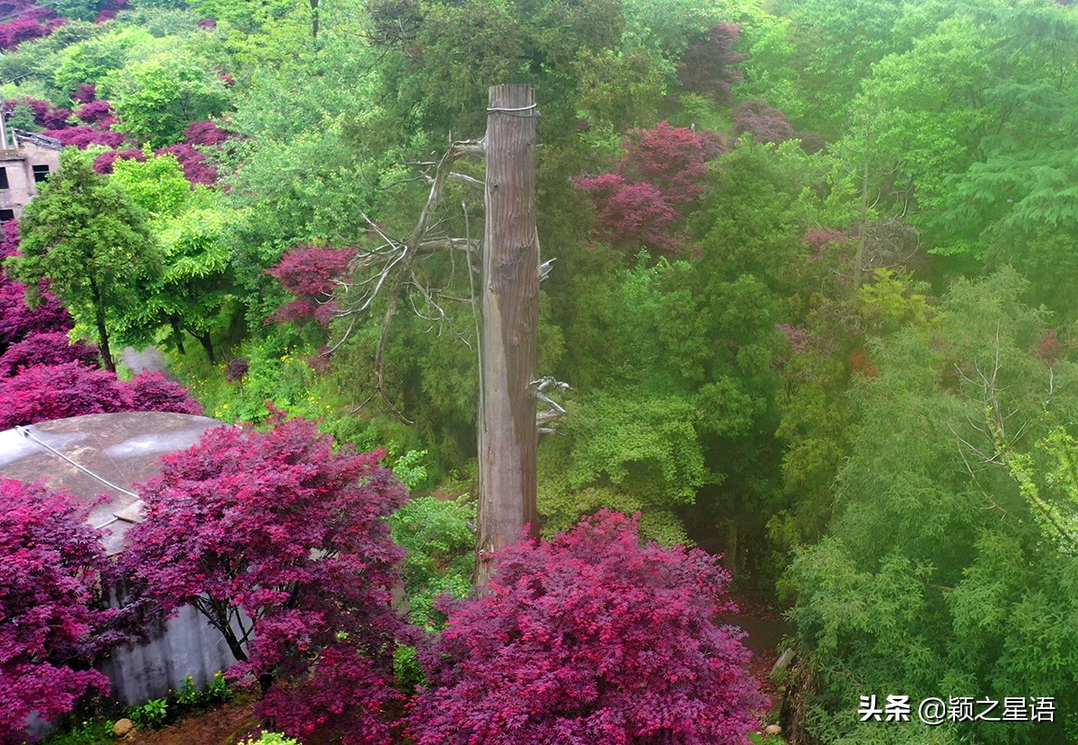 五角山航拍,五角地带