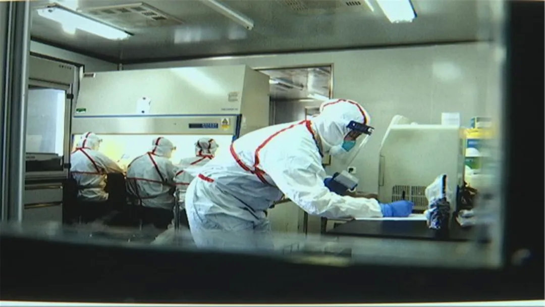 核酸检测试剂盒荧光pcr法,乙肝病毒核酸定量pcr