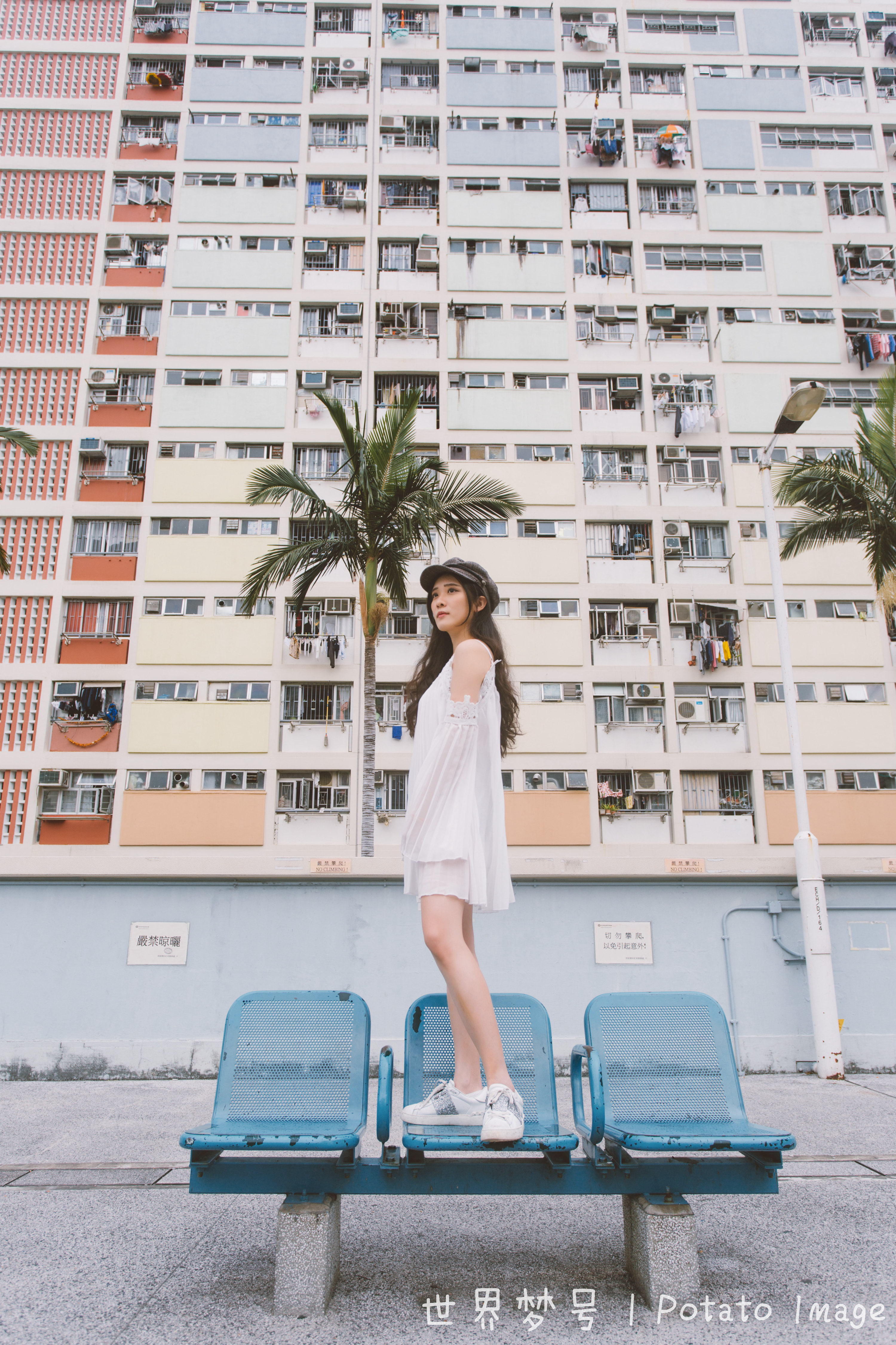 *港彩香**虹邨，成为主流打卡地，内住户其实是廉租房的奋斗梦想人