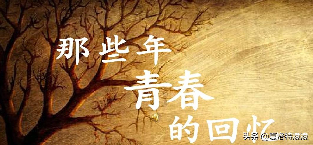 亲爱的老屋拆迁,亲爱的老屋的散文