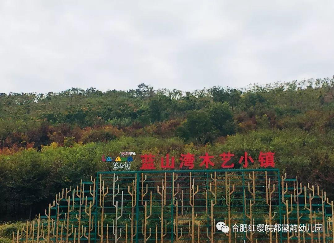 感恩成长,我们在路上!——皖都园2018重阳节社会实践游记