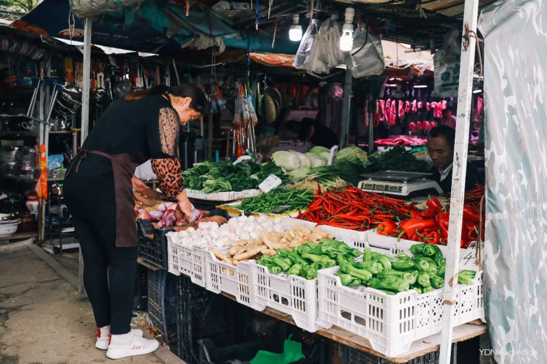 浠庢姹夋斁鍋囧洖瀹剁殑瀛︾敓,浠庢姹夊洖鏉ョ殑澶у鐢熶滑