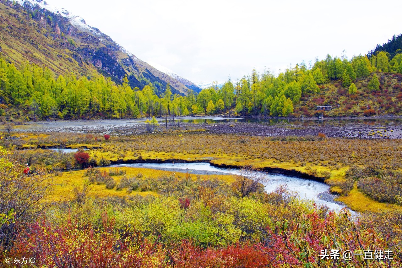 小说红楼梦完整版免费听,红楼梦小说全集免费完整版