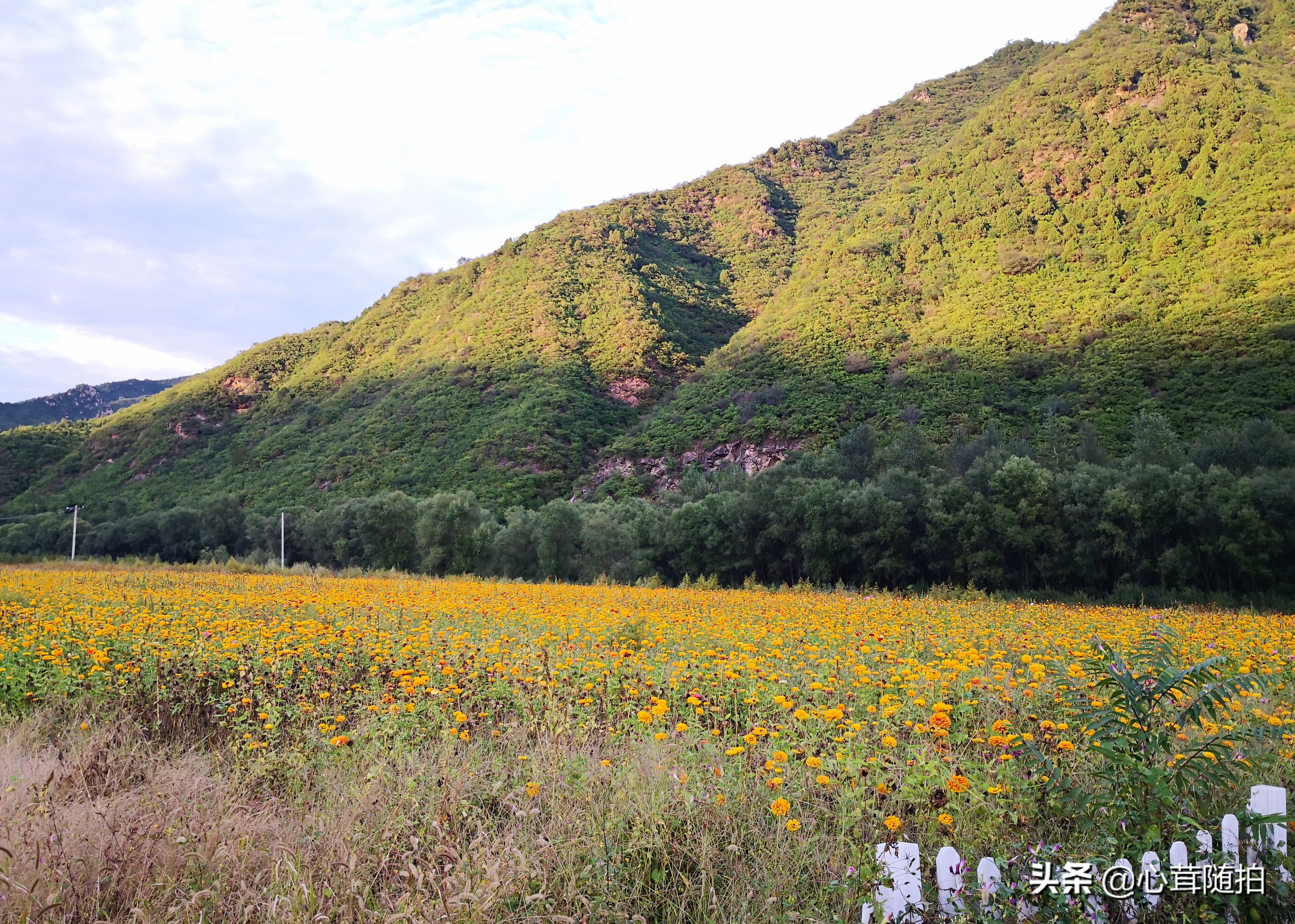 自驾白河湾,白河湾自然风景区自驾