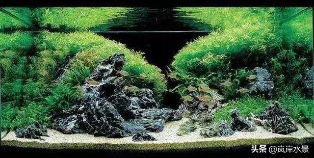 岚岸水景鱼缸,岚岸水景设计加盟