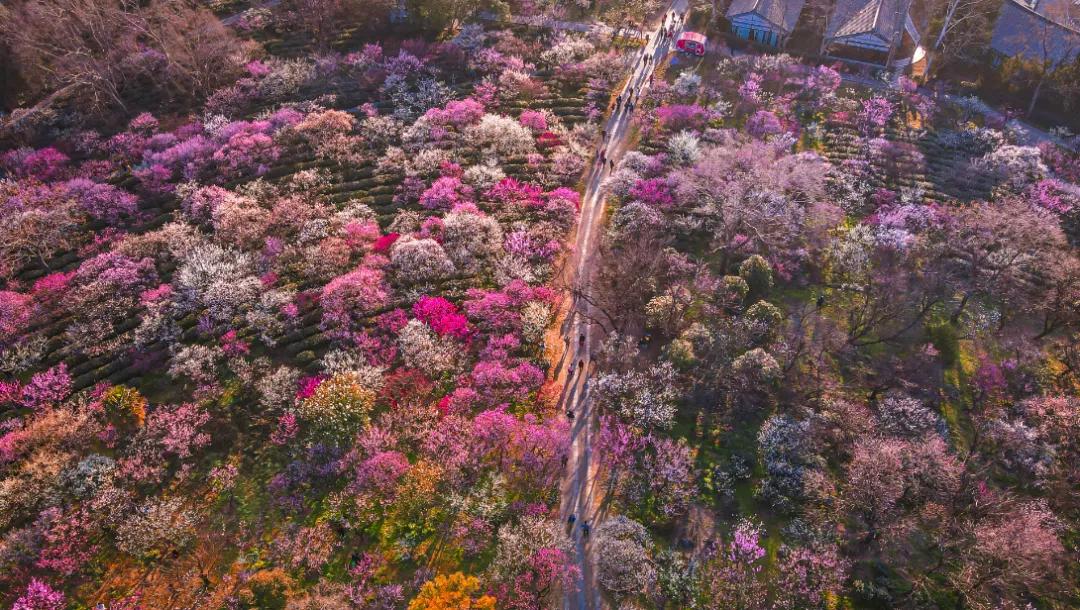 文旅企业融资规划,文旅目的地投融资分析