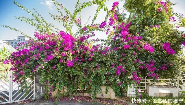 腾冲从早到晚旅游攻略,腾冲7月旅游攻略