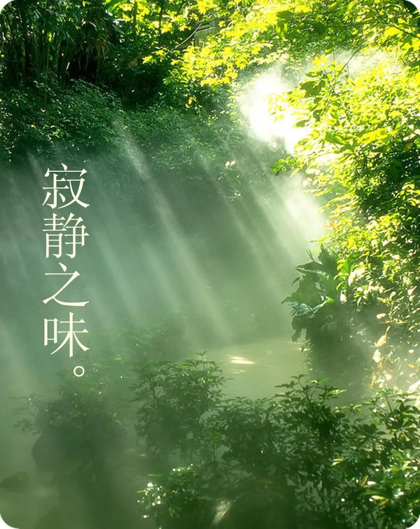 成功者和失败者的区别,成功者和失败者的分别