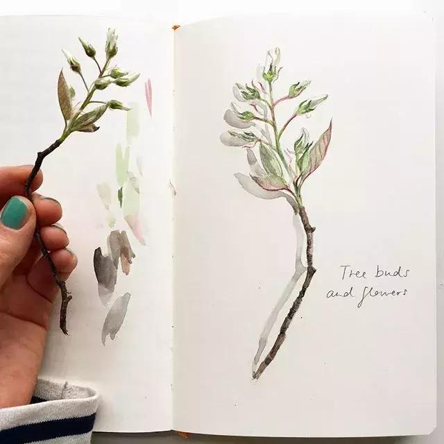 如何用手账本做一篇漂亮的手账,青春专属手帐