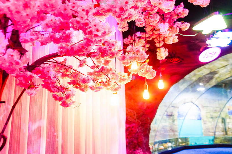 海洋极地海洋世界攻略,正佳极地海洋世界白鲸海象