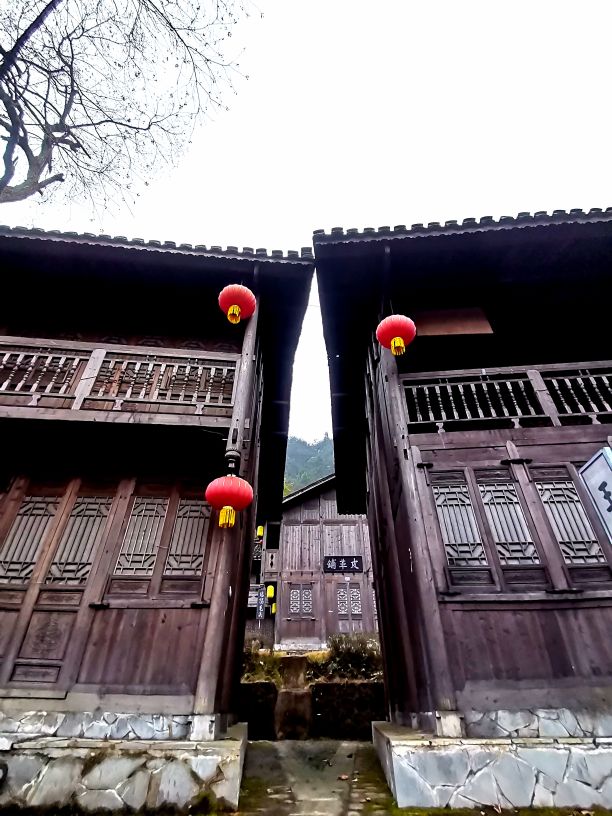 都匀茶旅小镇,都匀毛尖茶园基地游玩