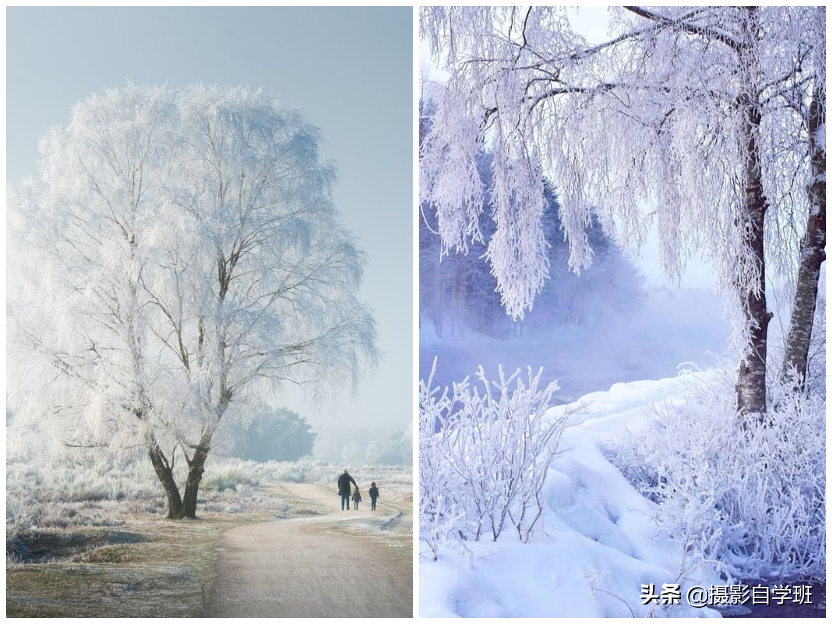 拍风景技巧夜景,风景拍摄如何拍出大片的感觉